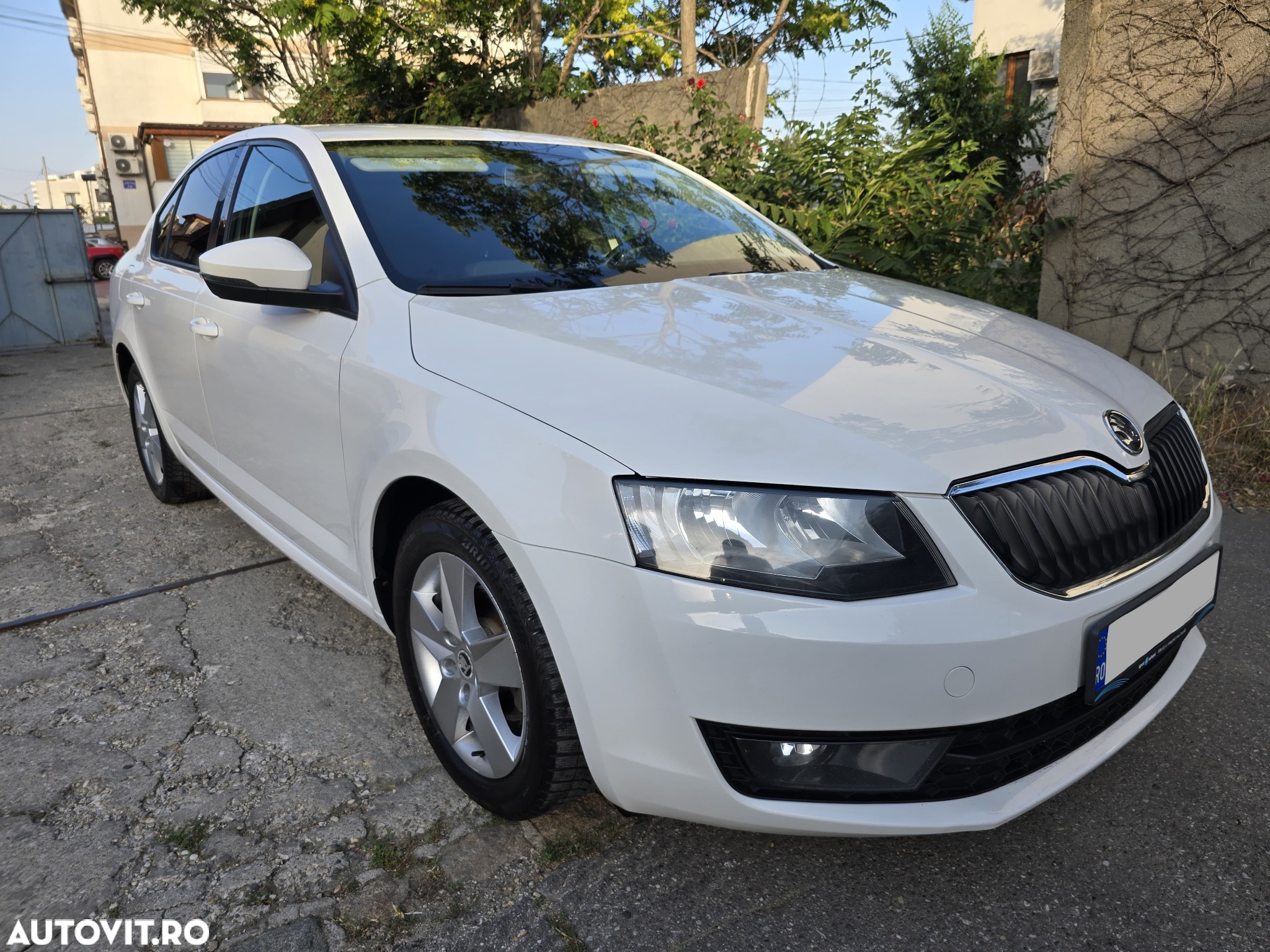 Skoda Octavia 1.6 TDI Ambition - 17
