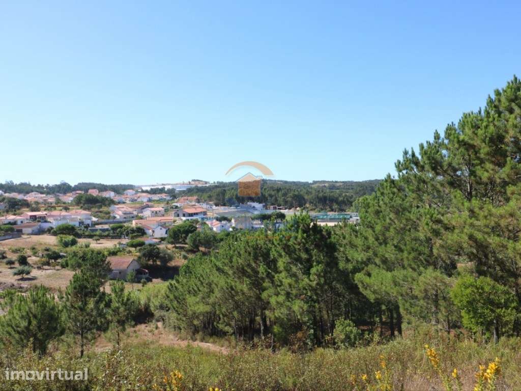 Terreno agrícola 2.000 m2 | Fonte Grada, Torres Vedras - Grande imagem: 5/6