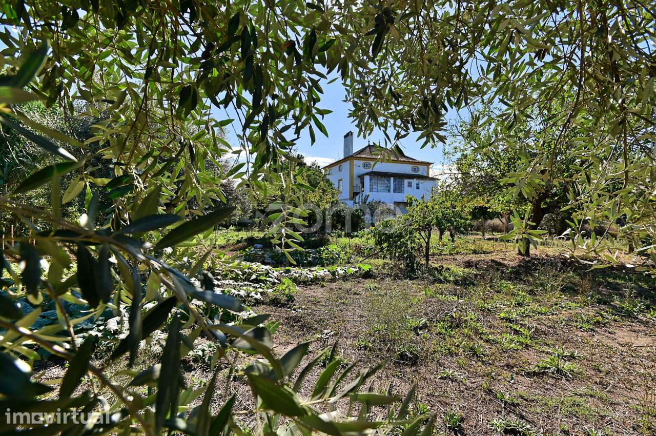 Quinta Ribeirinha em Abrantes - Grande imagem: 2/44