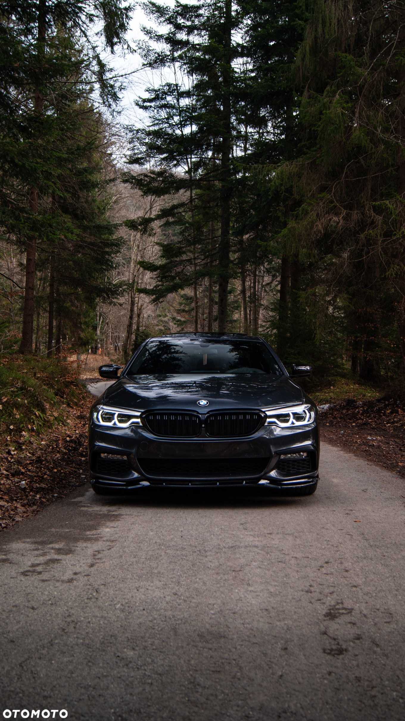BMW Seria 5 - 5