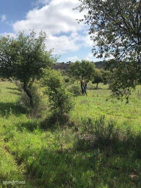 Herdade, para venda, Moura - Safara e Santo Aleixo da Restauração - Grande imagem: 2/8