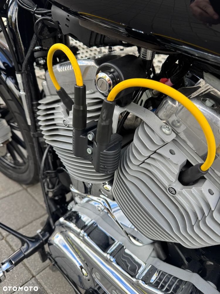 Harley-Davidson Sportster Custom 883C - 11
