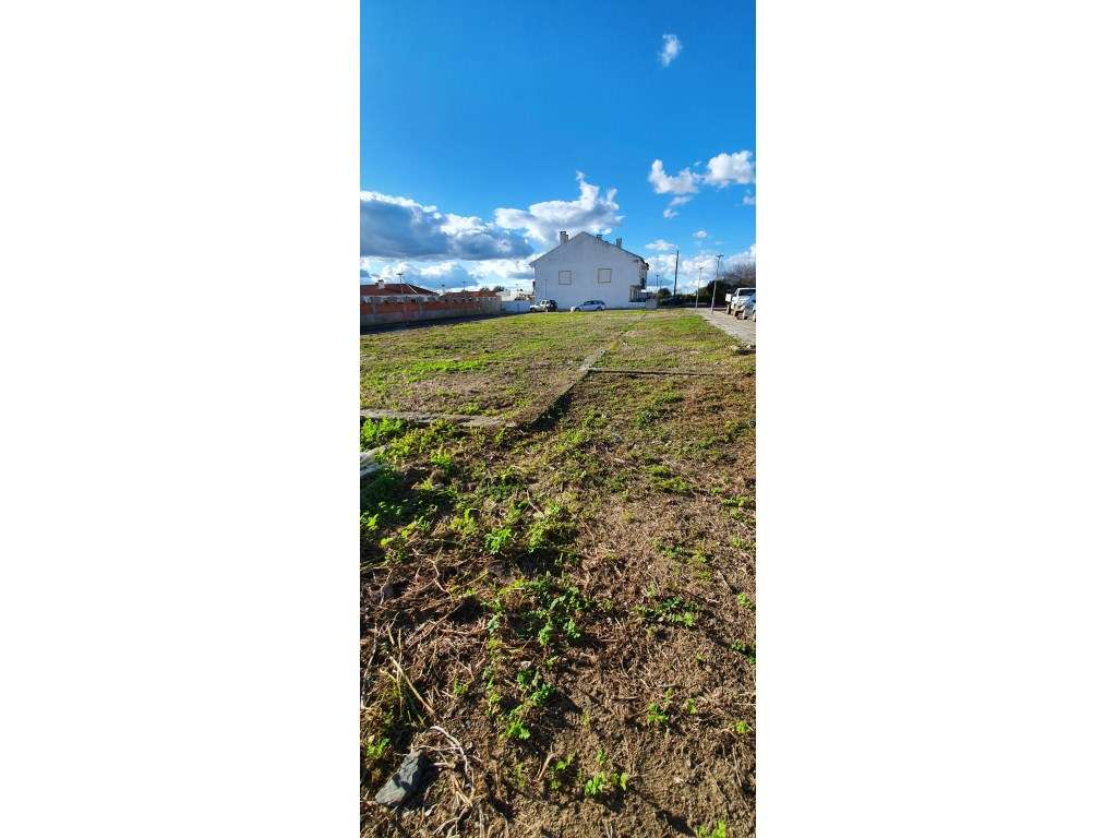 Vende-se Lote Urbano para Construção de Comércio e Serviços - Grande imagem: 3/5