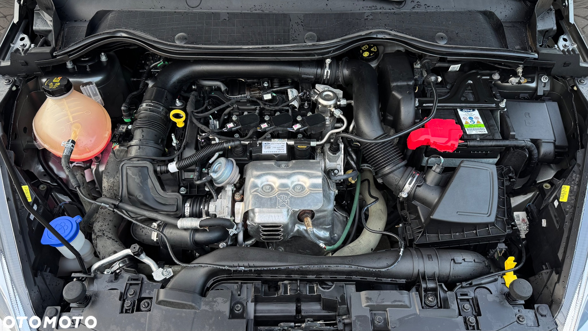 Ford Fiesta 1.0 EcoBoost S&S TITANIUM X - 8