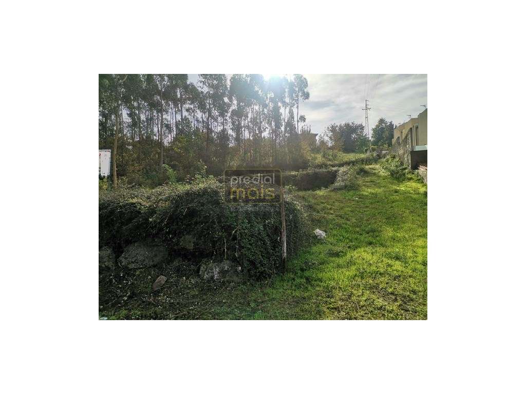 Terreno - Castelões - Grande imagem: 5/6