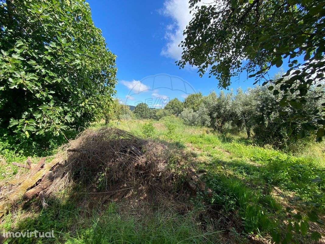 Terreno  para venda - Grande imagem: 5/10