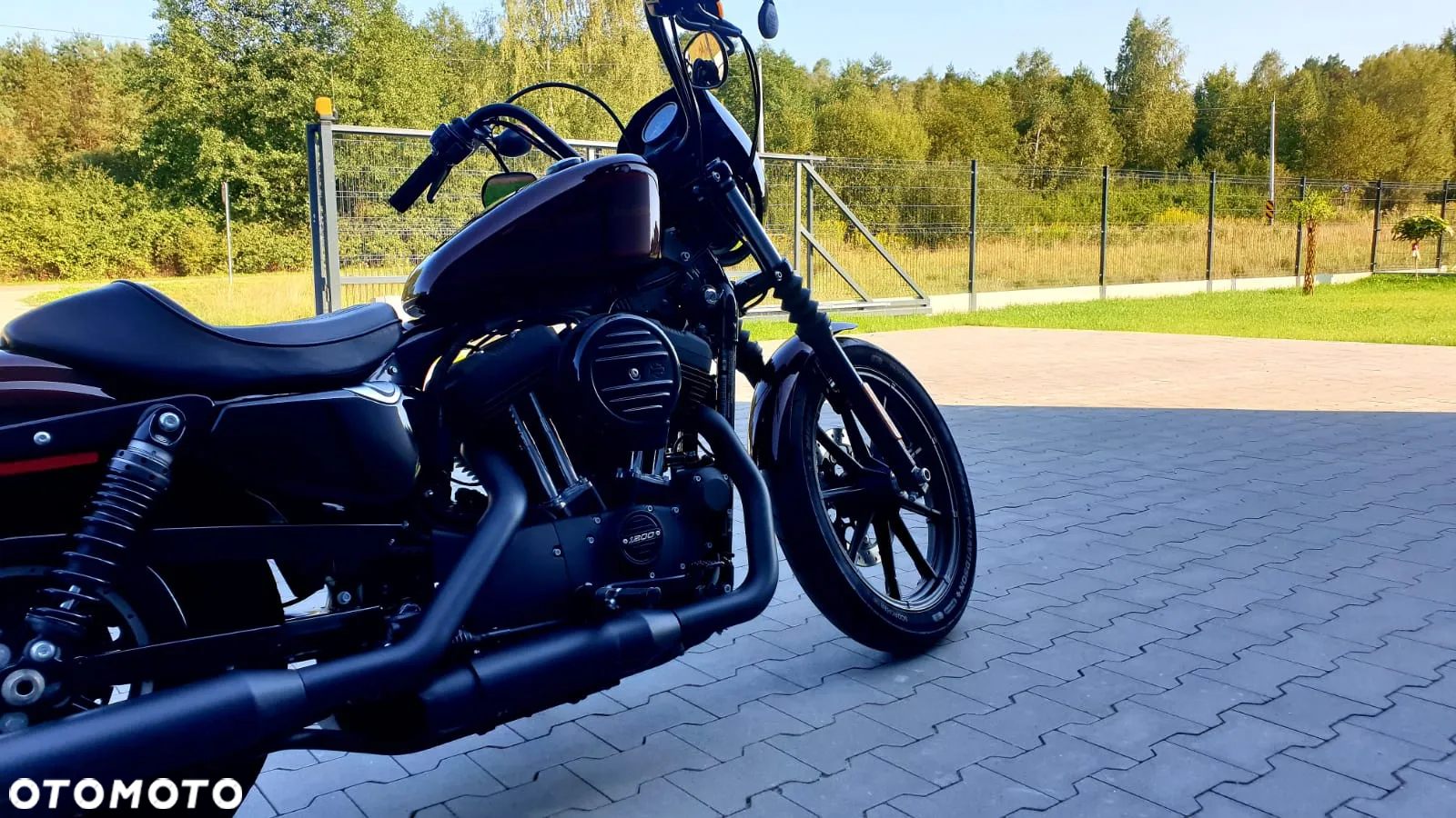 Harley-Davidson Sportster Iron 1200 - 9