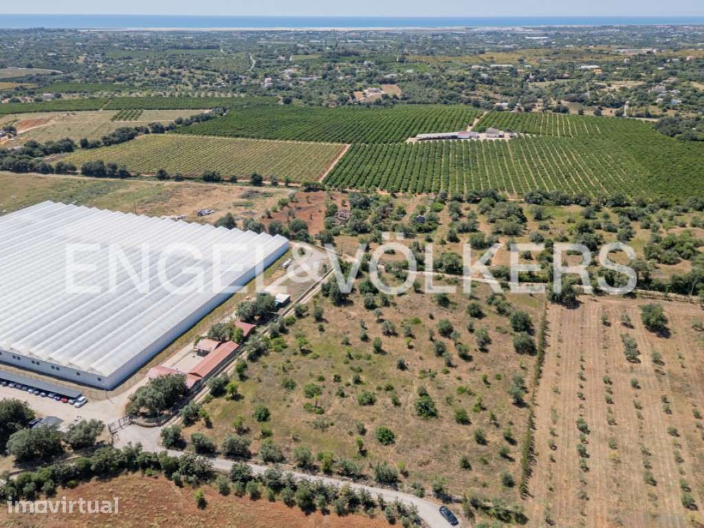 Lote Urbano com Terreno Agrícola e Potencial - Grande imagem: 4/29