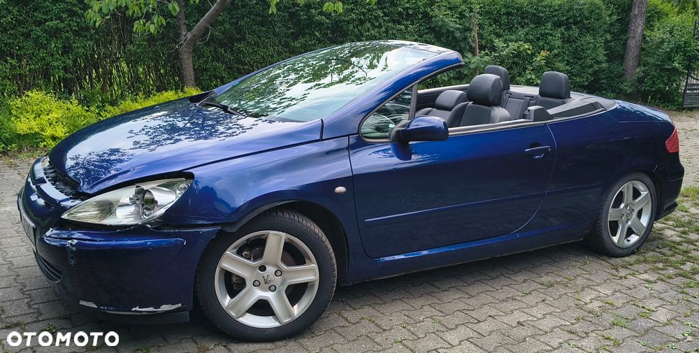 Peugeot 307 CC 2.0 - 23