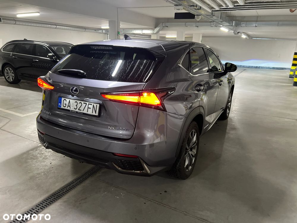 Lexus NX 300h F Sport AWD - 14