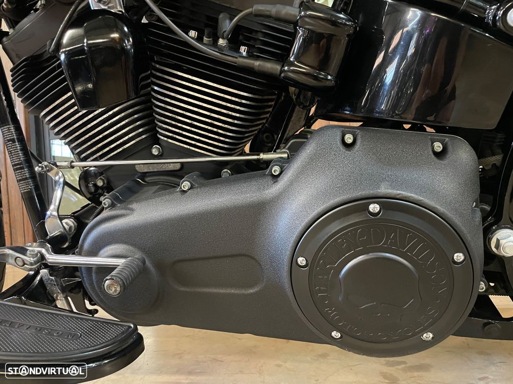 Harley-Davidson FLSTS - 15