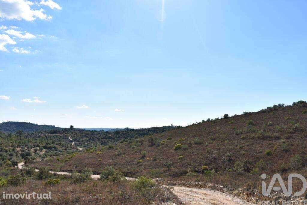Terreno em Chãos de 33440,00 m2 - Grande imagem: 2/29