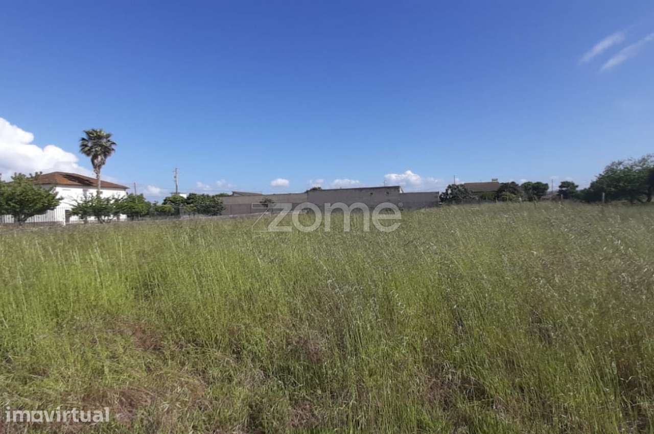 Terreno 1390 m² | Ereira | Montemor-o-Velho - Vista 5