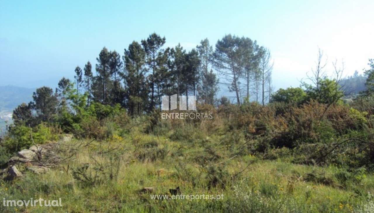 Venda Terreno, São Cristóvão de Nogueira, Cinfães - Grande imagem: 4/13