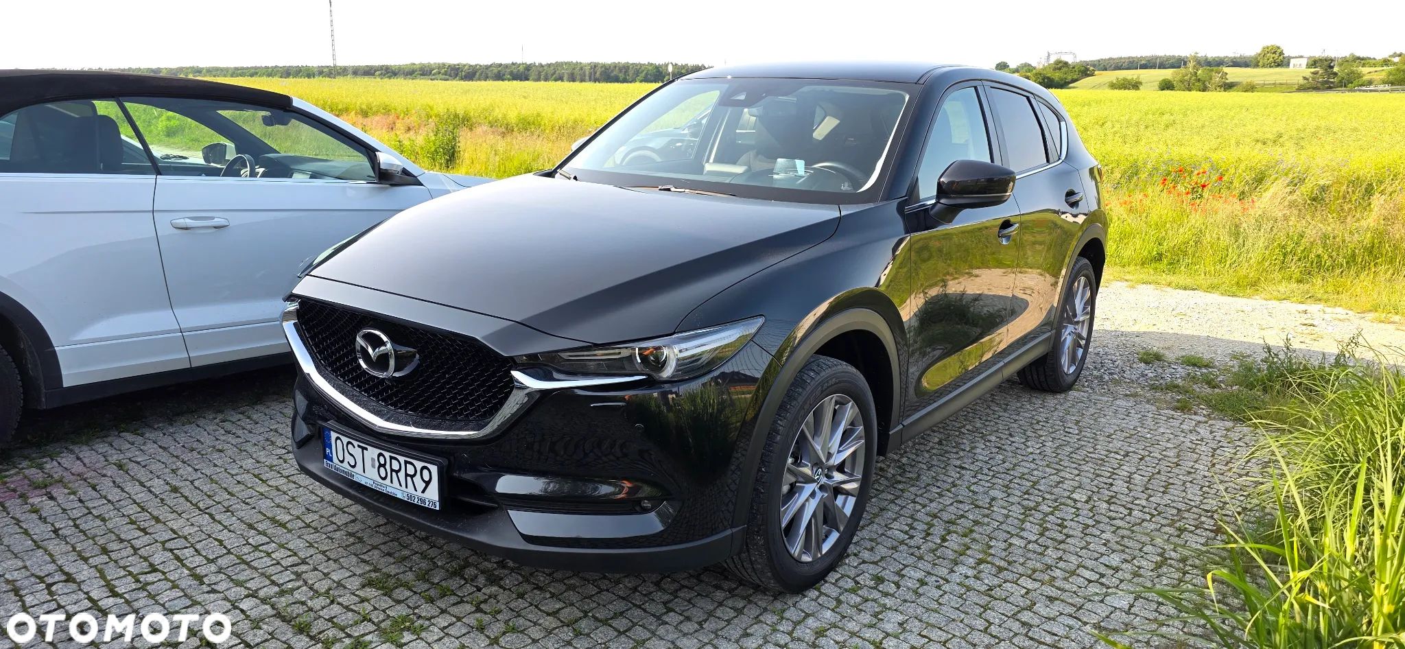 Mazda CX-5 2.0 Skydream AWD - 1