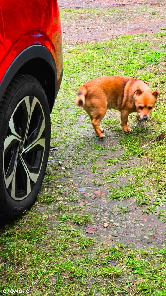 Renault Arkana 1.3 TCe mHEV Techno EDC - 31