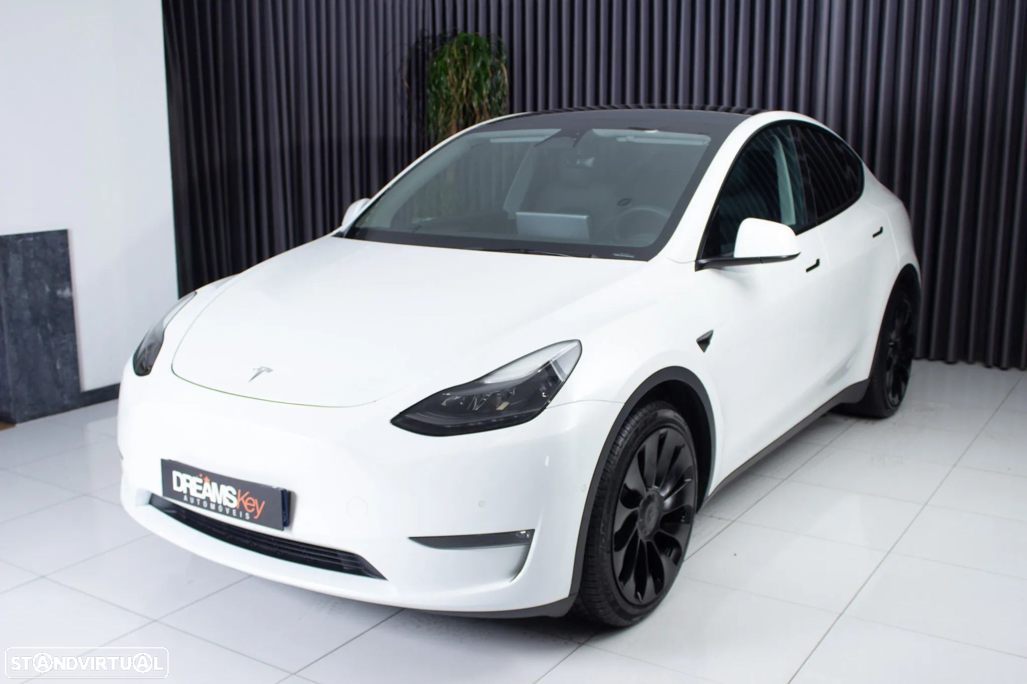Tesla Model Y Long Range Dual Motor AWD - 10