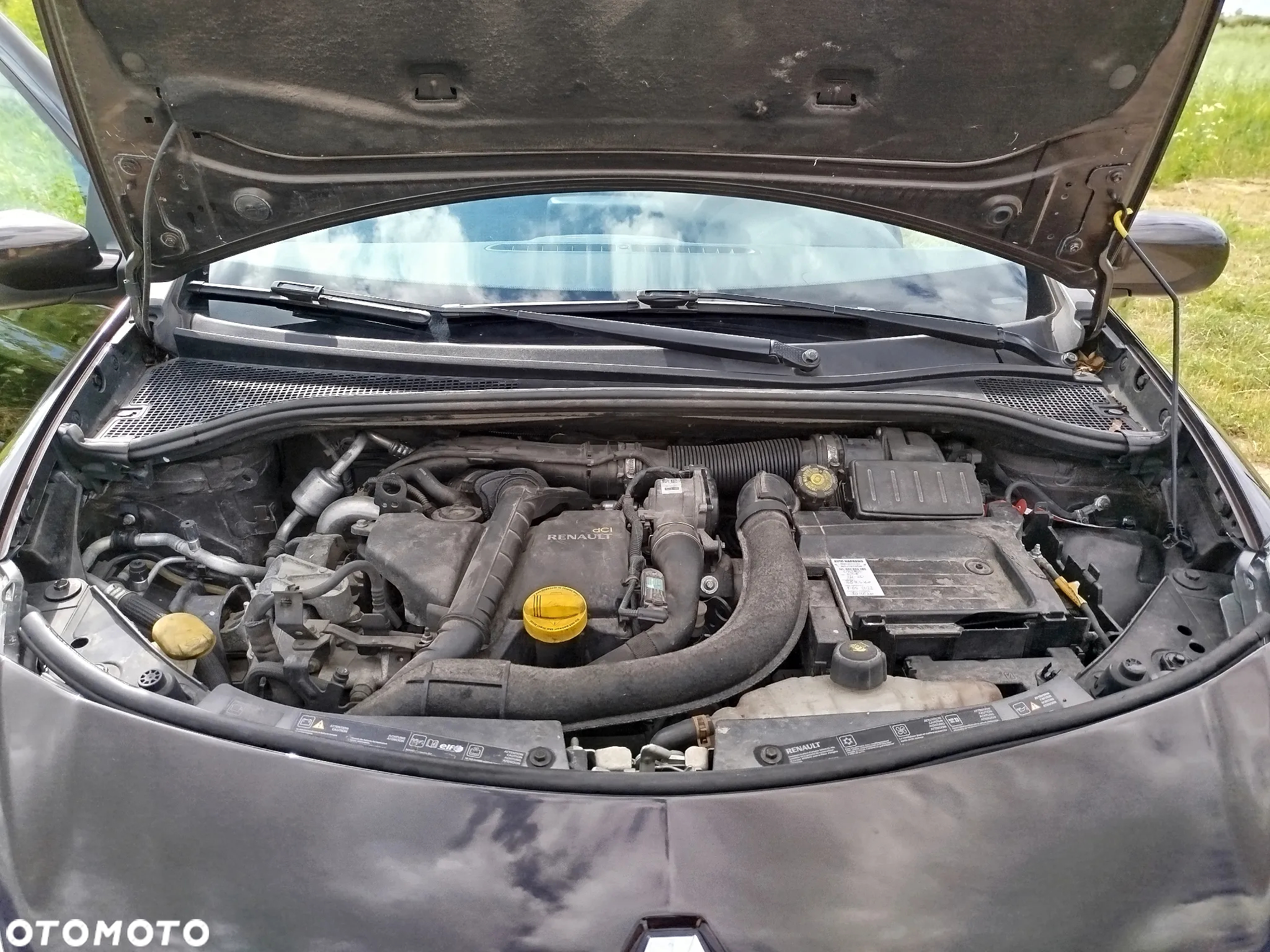 Renault Clio - 15