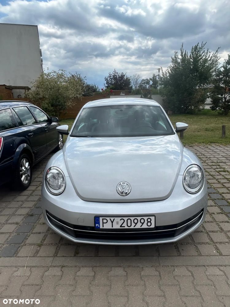 Volkswagen Beetle - 6