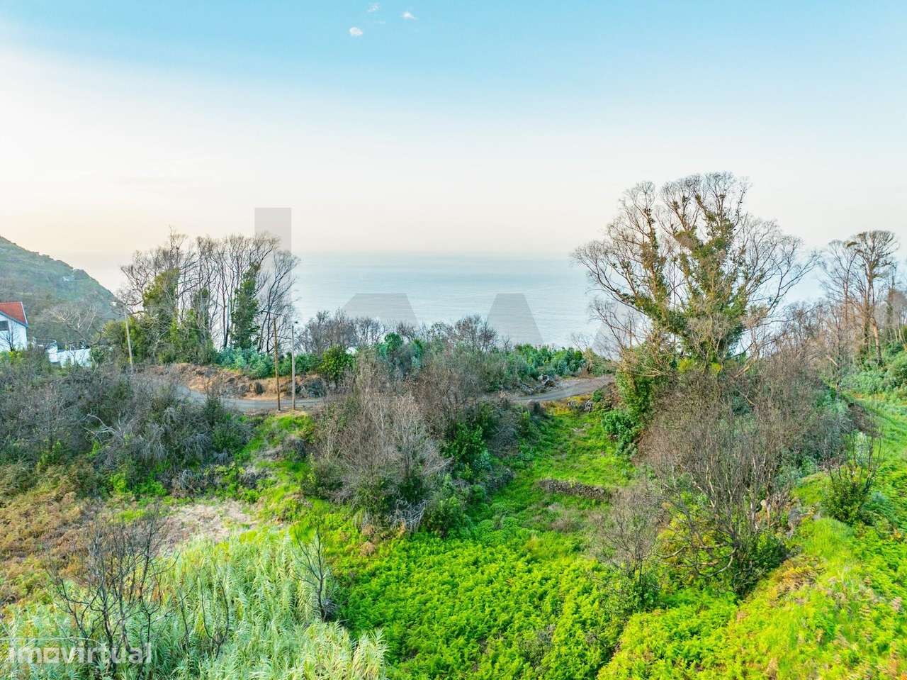Terreno rústico plano com 444 m2 – Lamaceiros, Porto Moniz - Grande imagem: 2/21