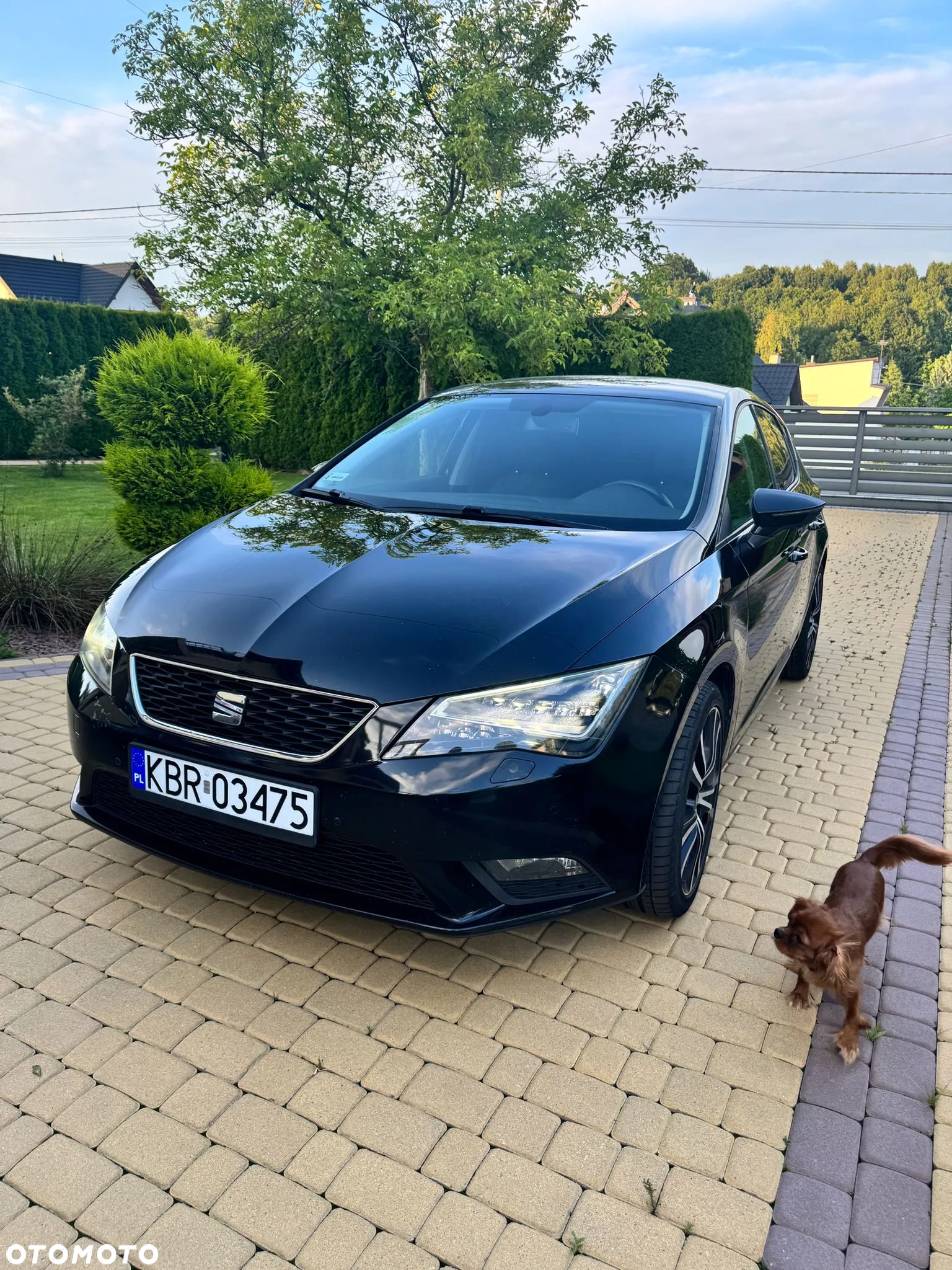 Seat Leon 2.0 TDI Full LED S&S - 11
