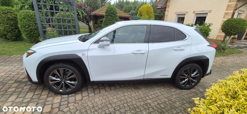Lexus UX 250h GPF F Sport AWD - 7