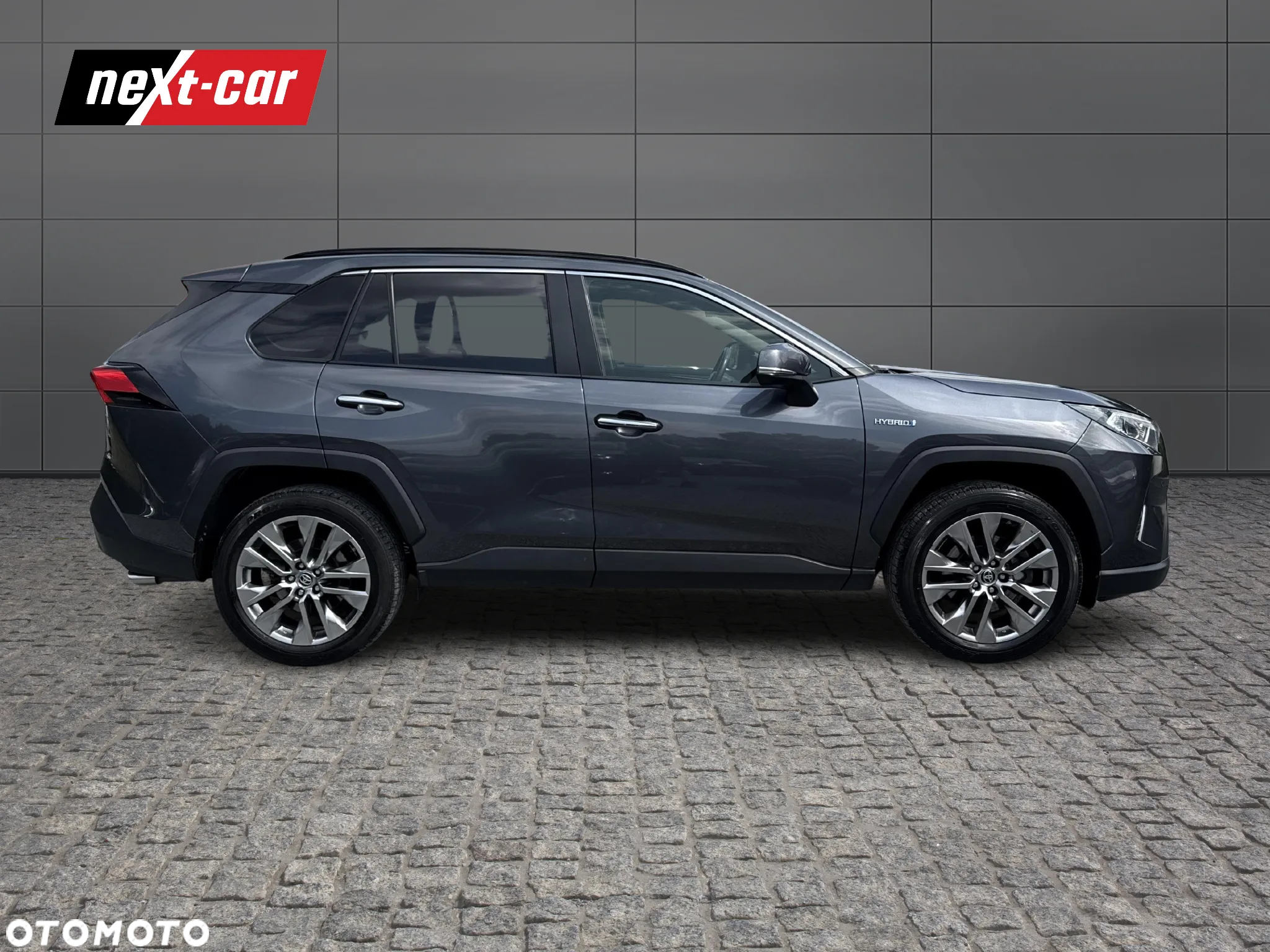 Toyota RAV4 2.5 Hybrid Executive 4x2 - 6