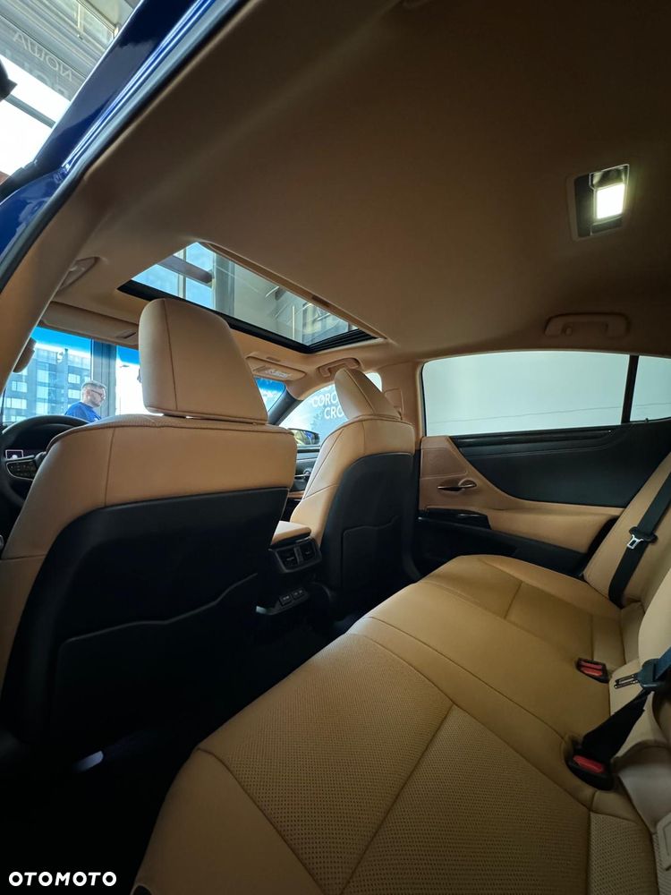 Lexus ES 300h F Sport Design - 10