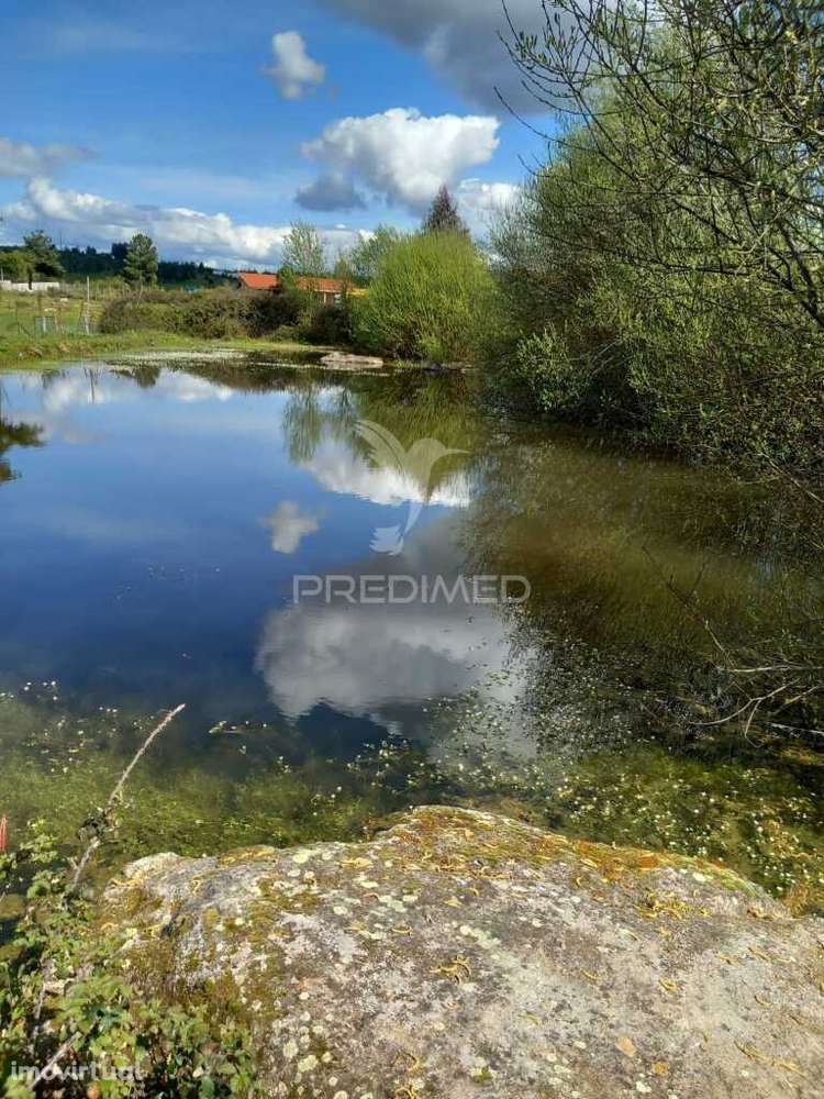 Quinta à venda com 6 Hectares – Mêda - Grande imagem: 2/13