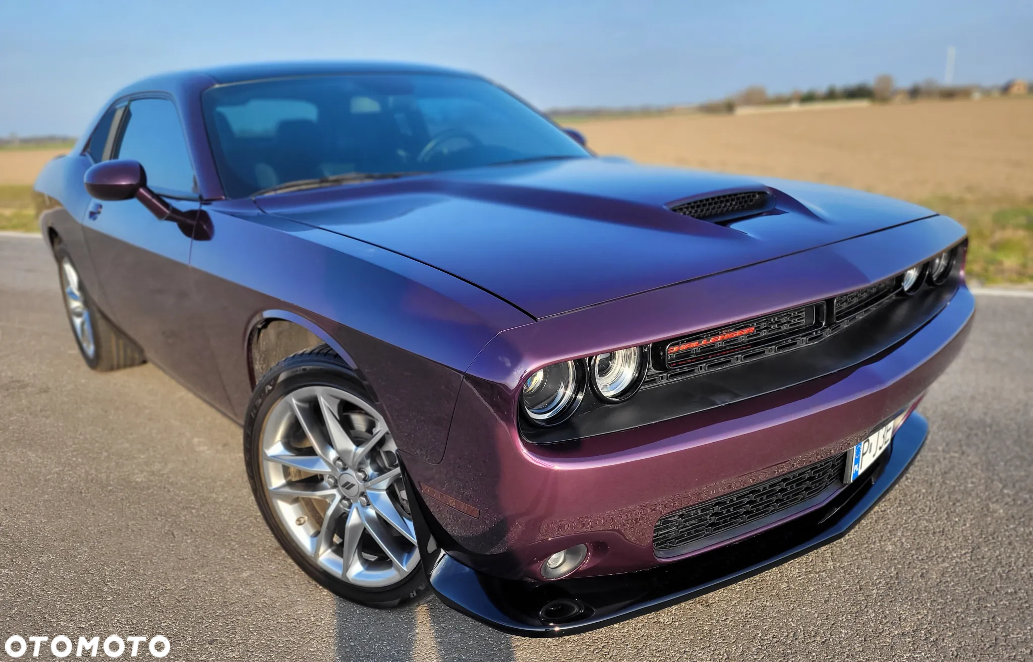 Dodge Challenger 3.6 GT Plus AWD - 6