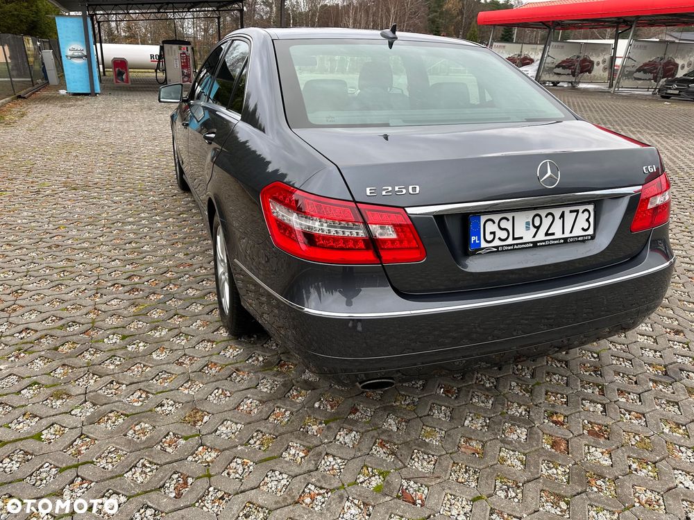 Mercedes-Benz Klasa E 250 CGI BlueEffICIENCY Avantgarde - 15