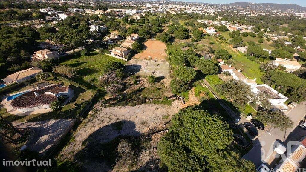 Terreno Agrícola em Almancil - Grande imagem: 4/11