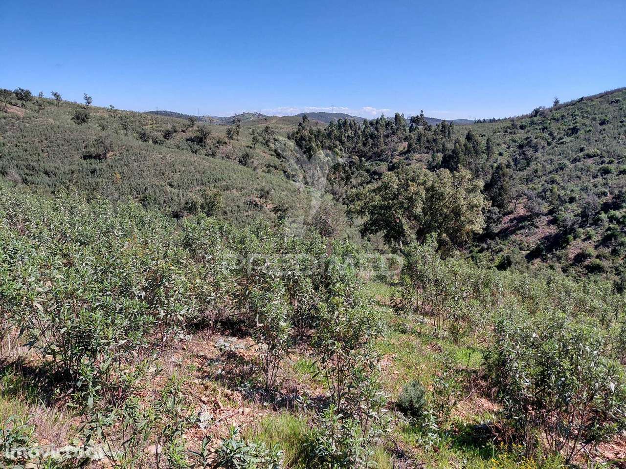 Terreno Rústico ,Sabóia,Odemira. - Grande imagem: 5/7