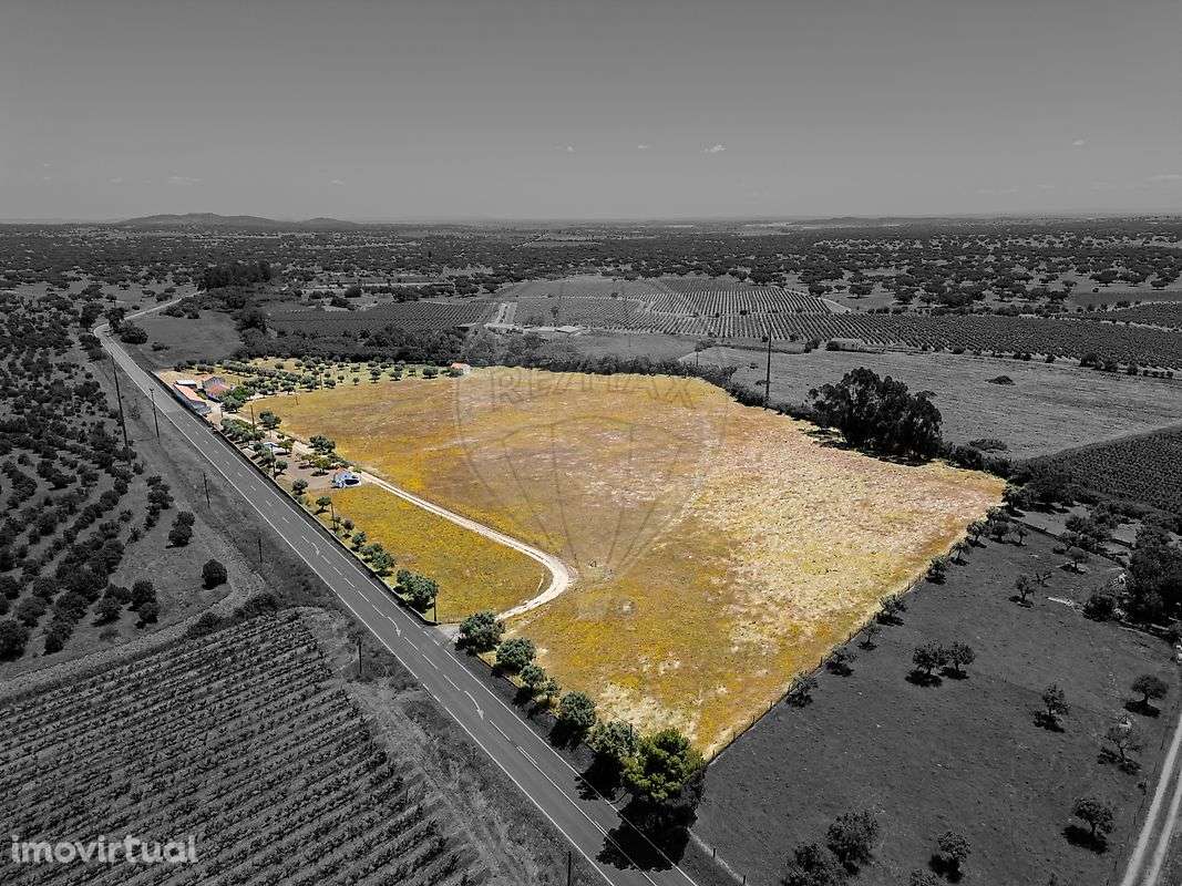 Quinta T3 para venda - Grande imagem: 3/10