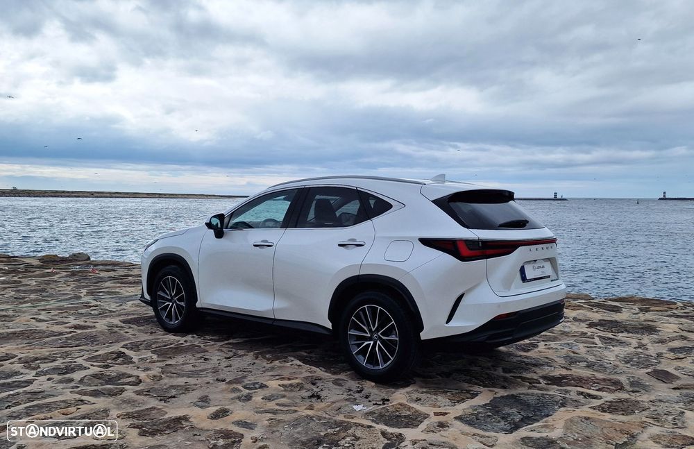 Lexus NX 450h+ - 10