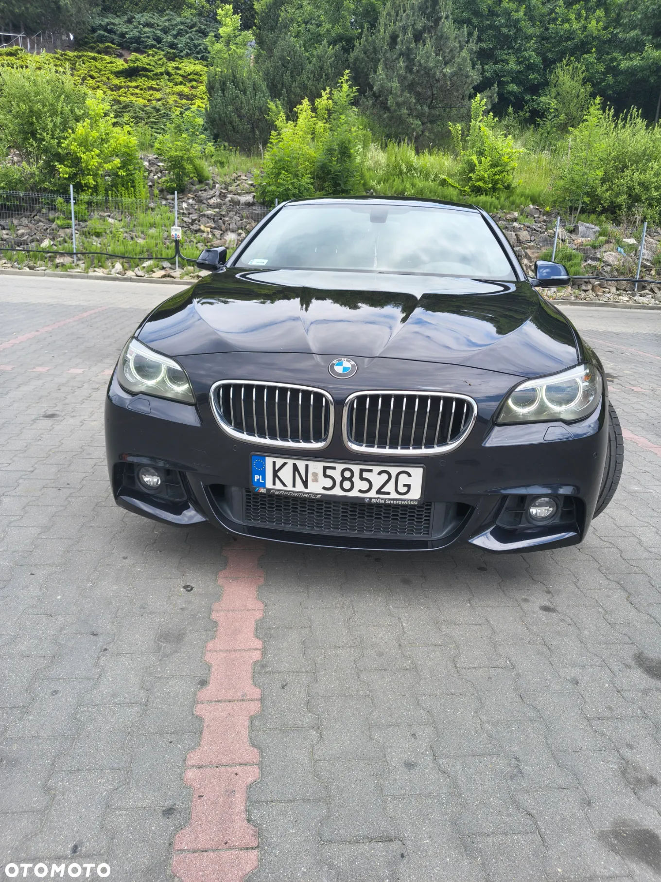 BMW Seria 5 525d xDrive - 5
