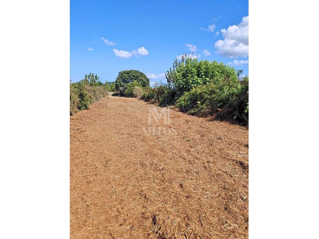 Terreno agrícola para venda em Cardielos - Viana do Castelo