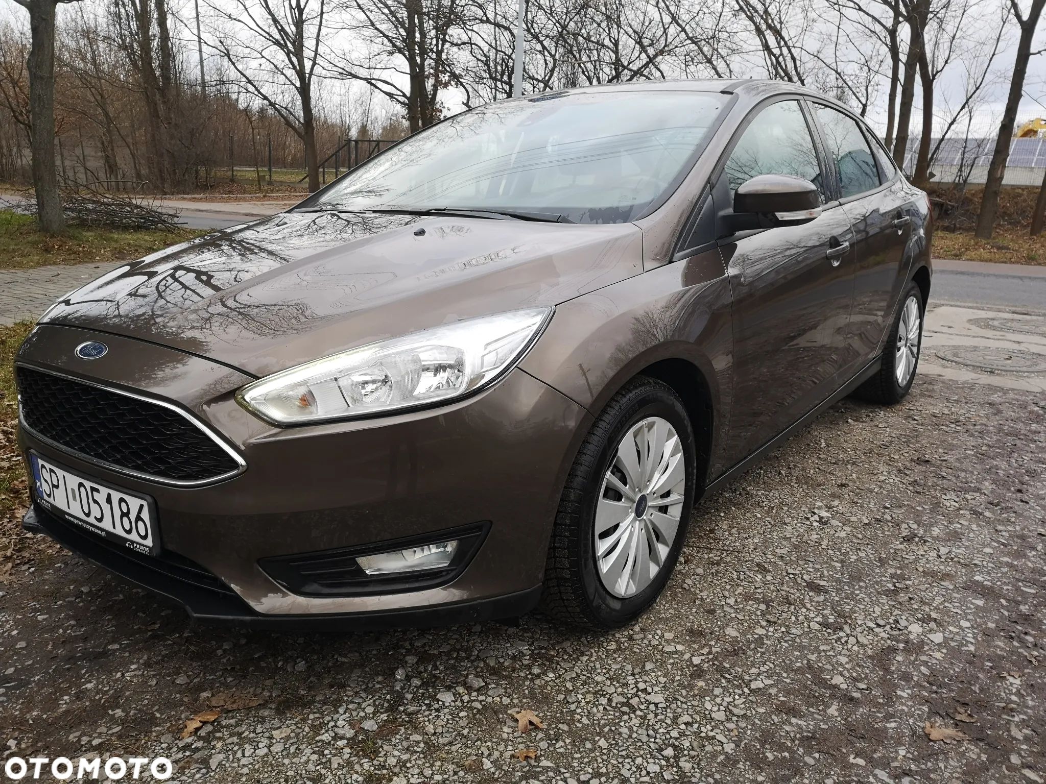Ford Focus - 1