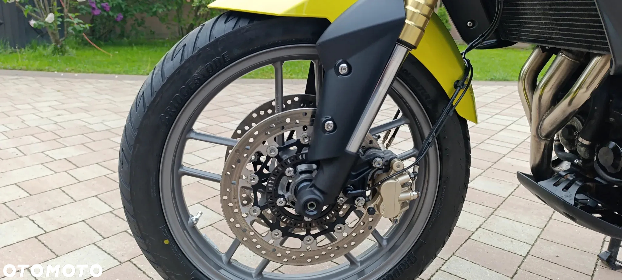 Triumph Tiger - 40