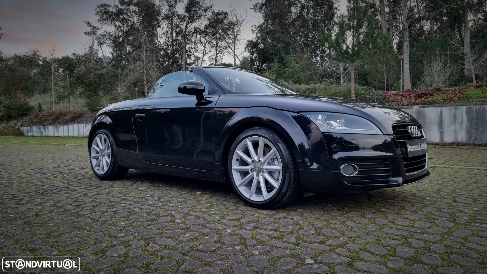 Audi TT Roadster 1.8 TFSi - 18