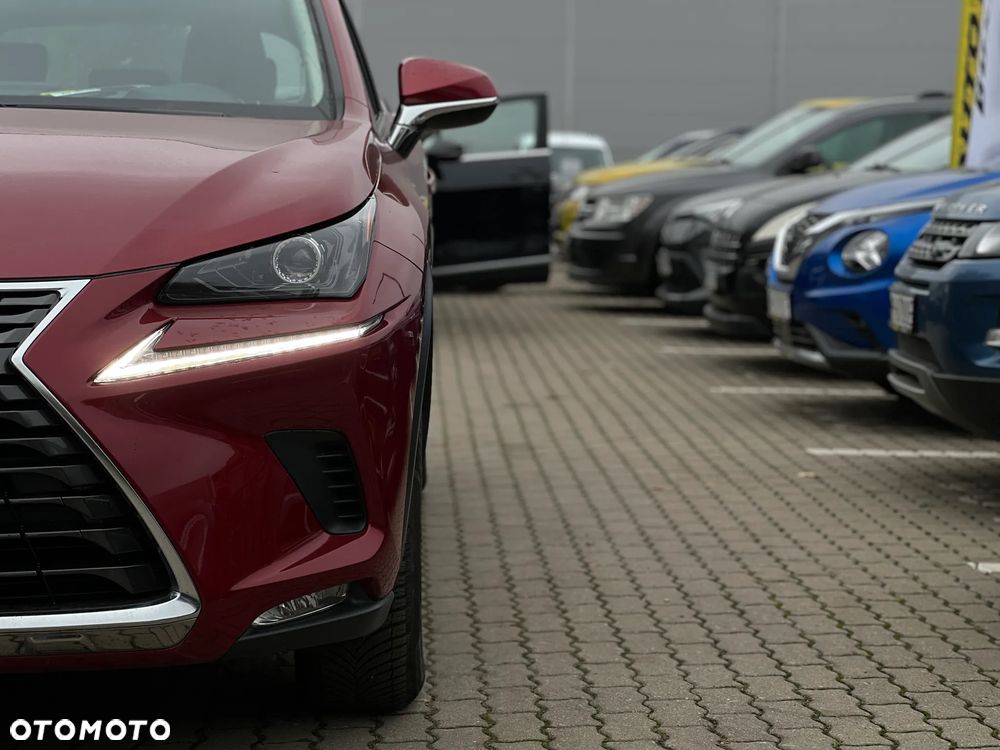 Lexus NX - 11