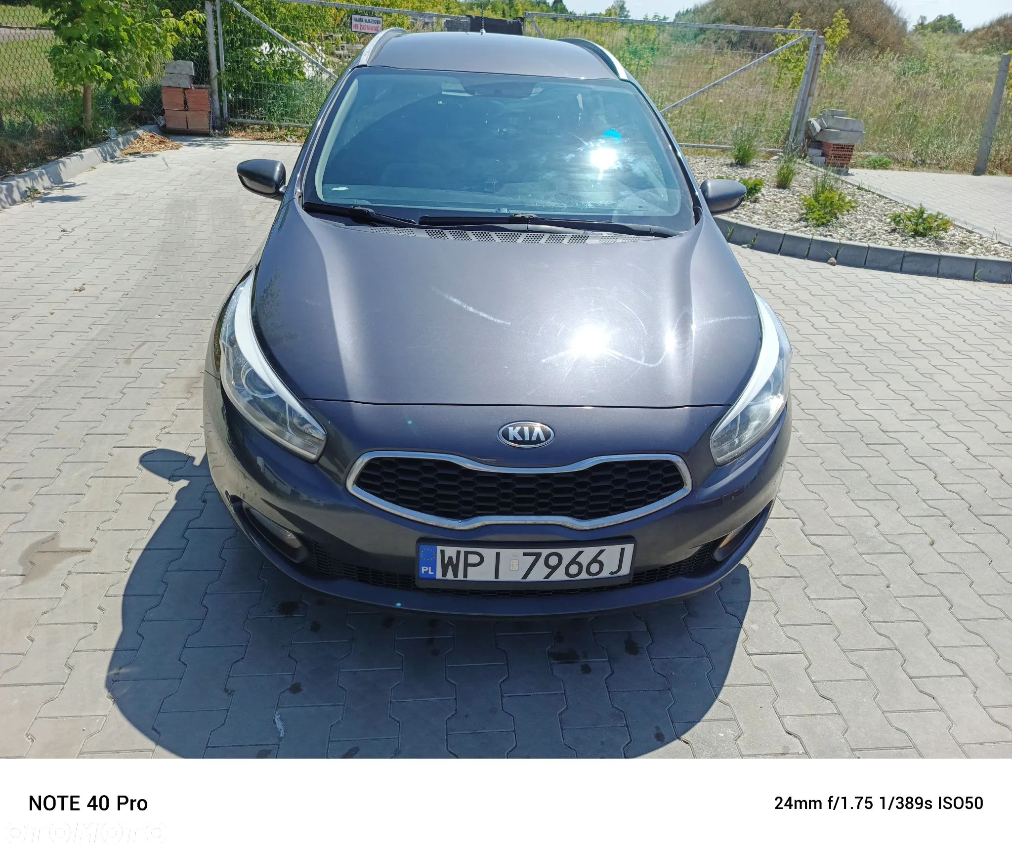 Kia Ceed - 1
