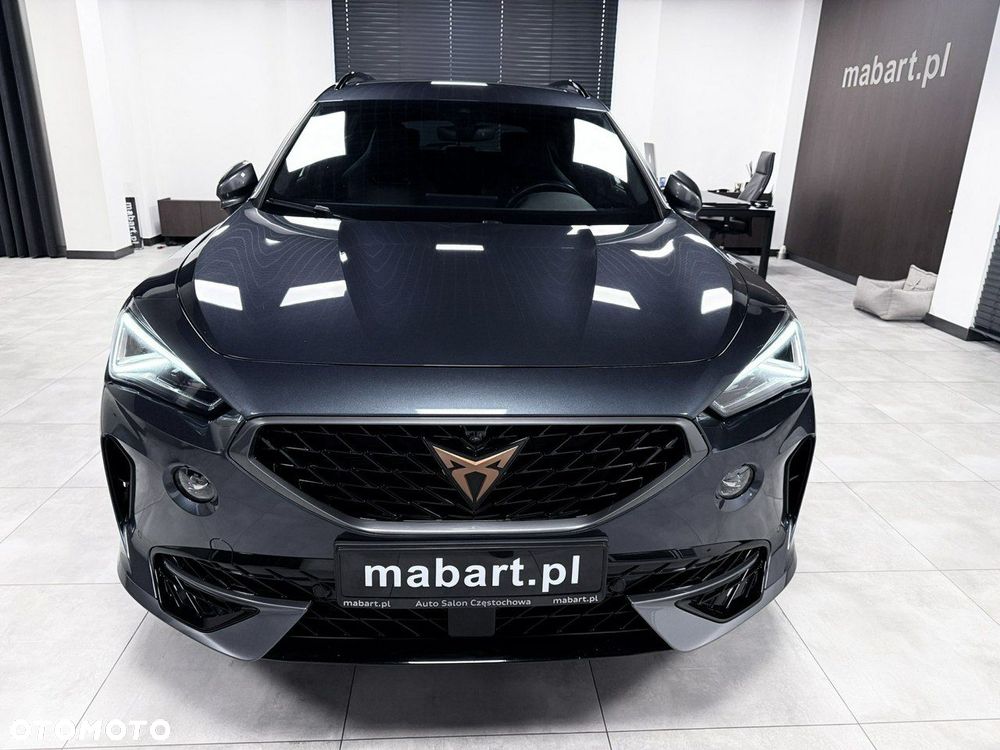 Cupra Formentor 2.0 TSI 4Drive DSG - 12