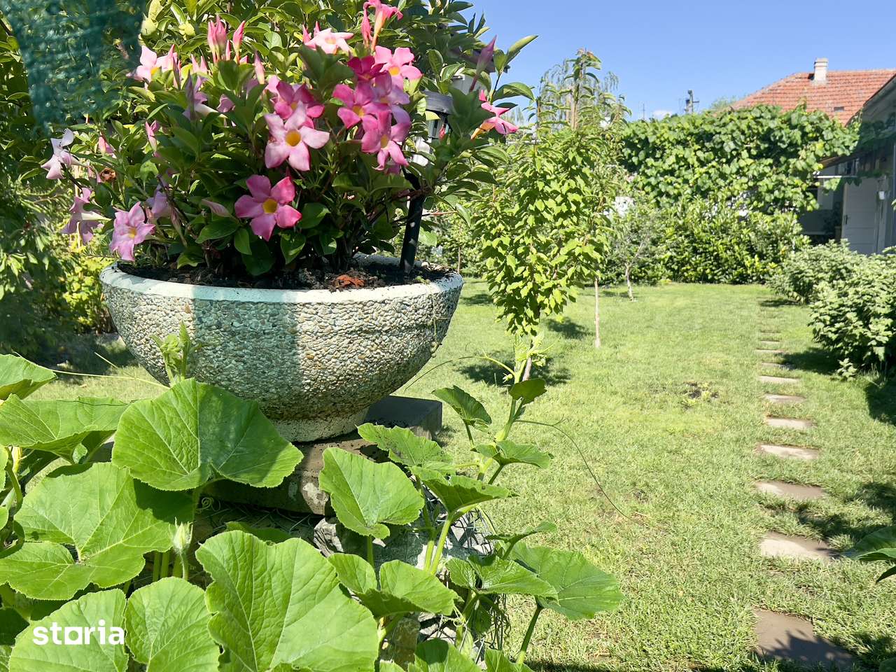 Proprietar vând casă în gradiste