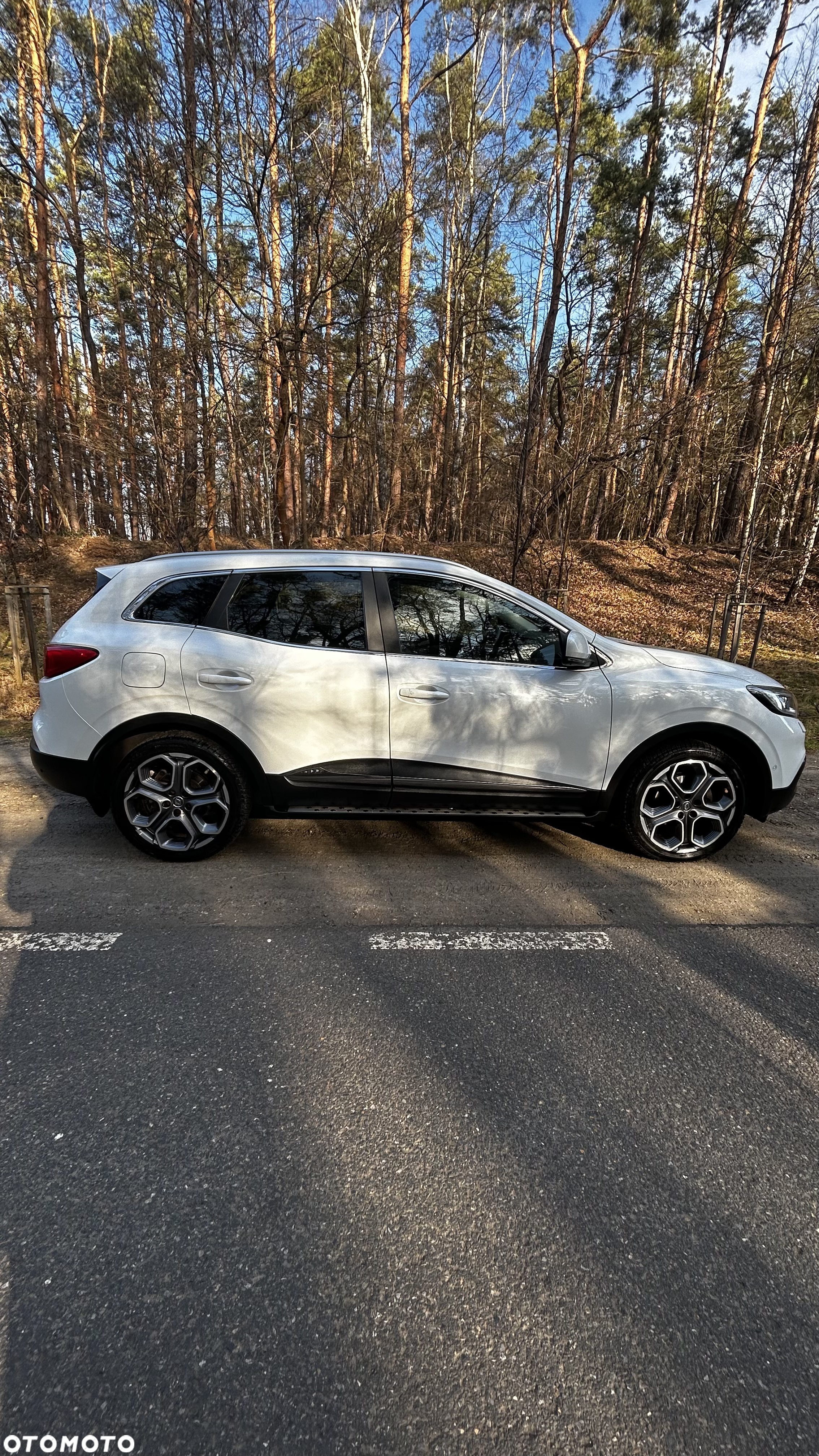 Renault Kadjar 1.2 Energy TCe Limited - 19