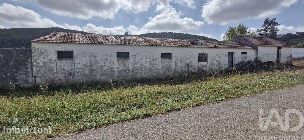 Terreno misto em Rio Maior - Grande imagem: 3/35
