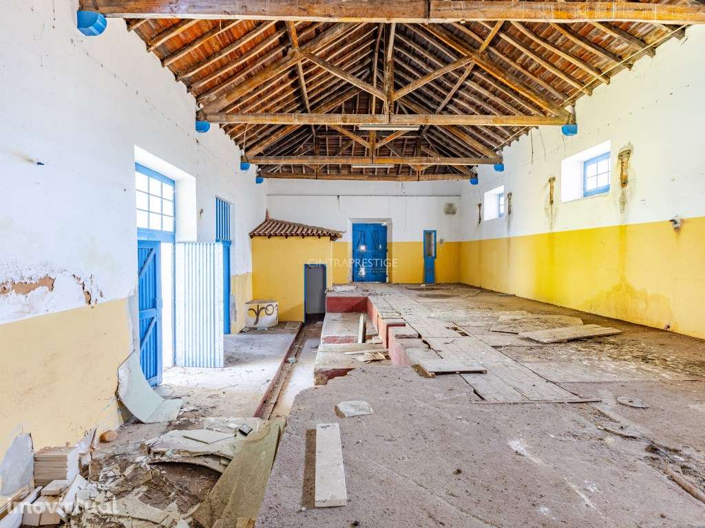 Quintinha, com construção de armazem/antigo Lagar de Azeite - Grande imagem: 3/7