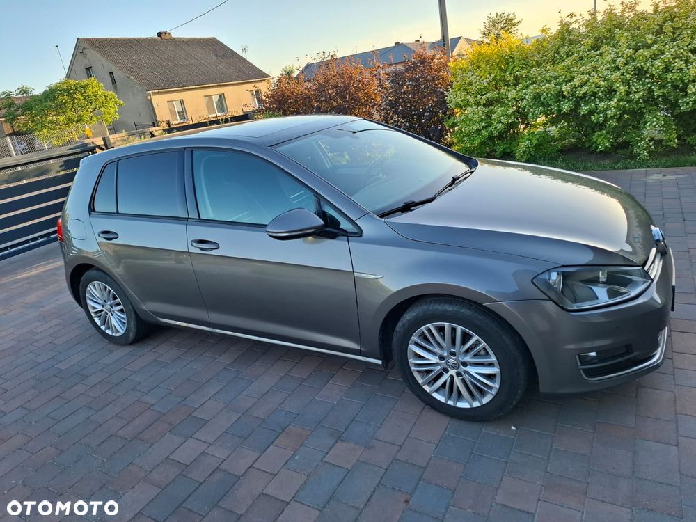 Volkswagen Golf 1.6 TDI 4Motion BlueMotion Technology Cup - 5