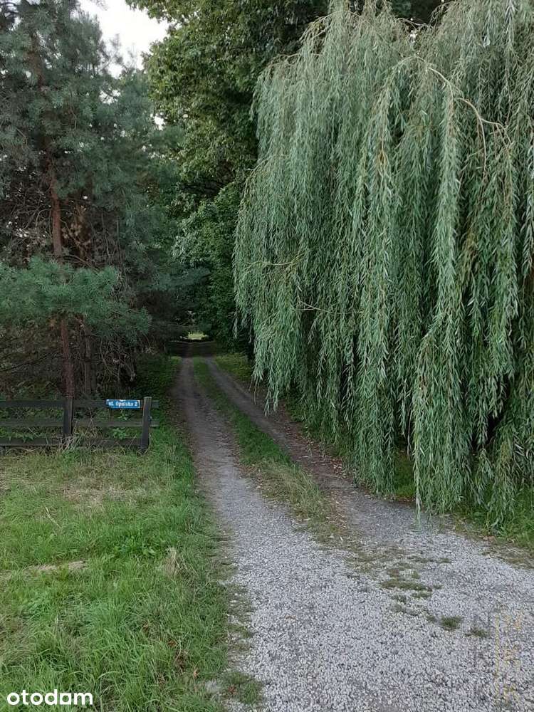 Działka budowlana z PNB  Siechnice 6860 PUM - Pełny obrazek: 3/8