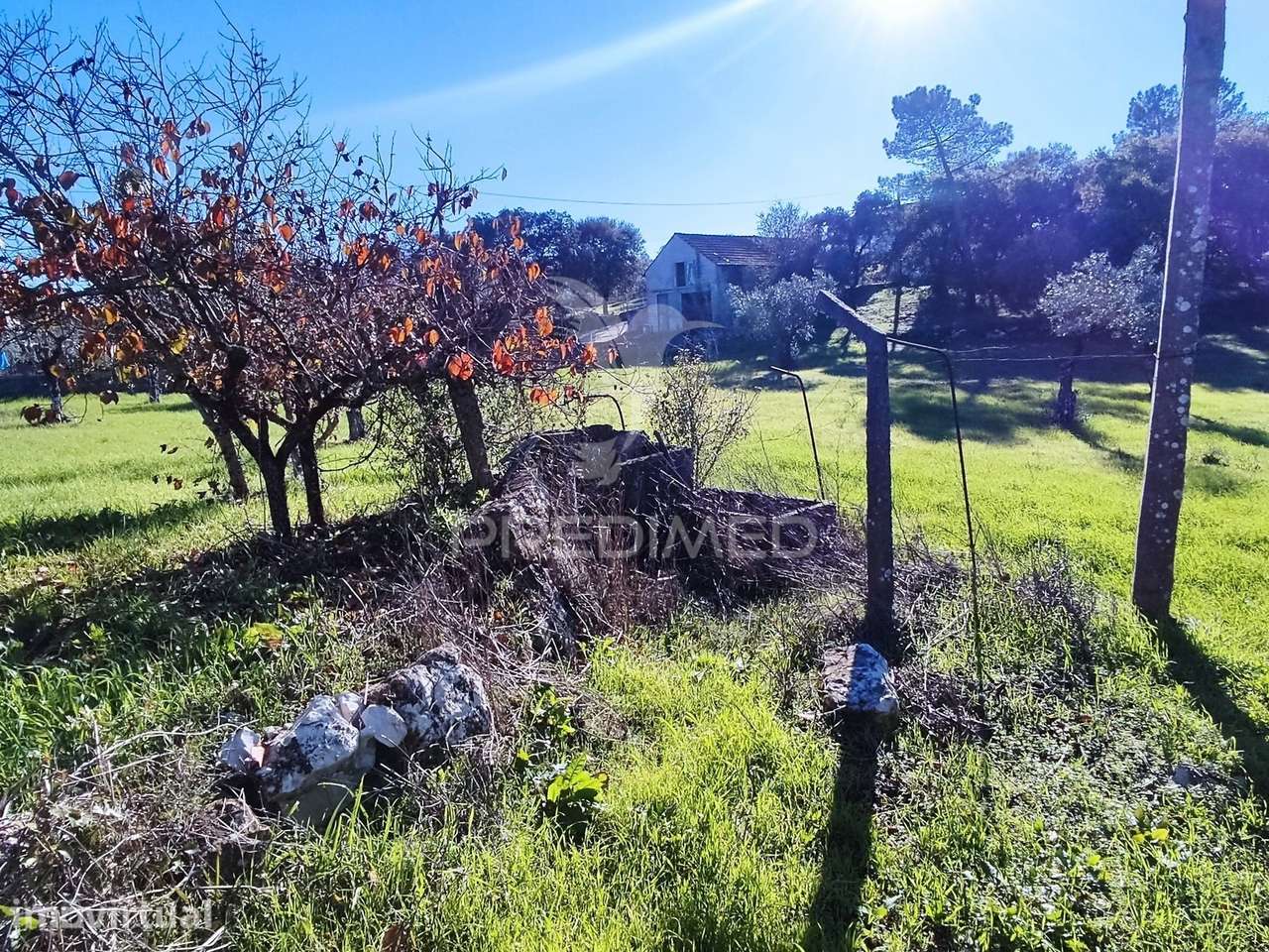 Terreno com barracão no Zambujal - Grande imagem: 5/9